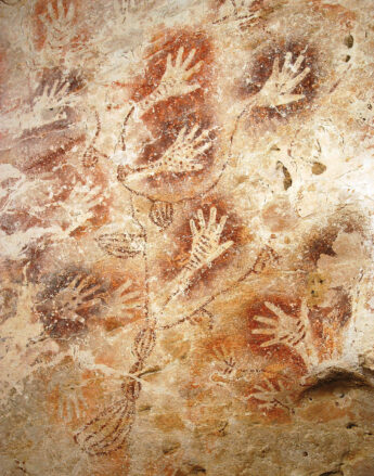 GuaTewet tree of life LHFage